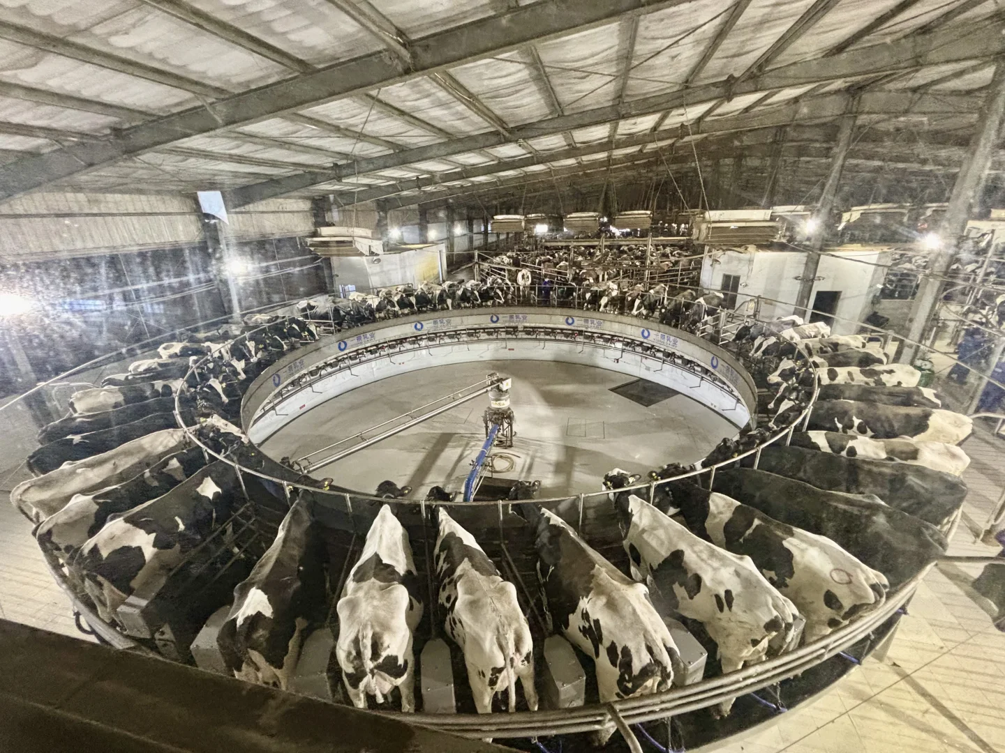 杭州周边遛娃地之—