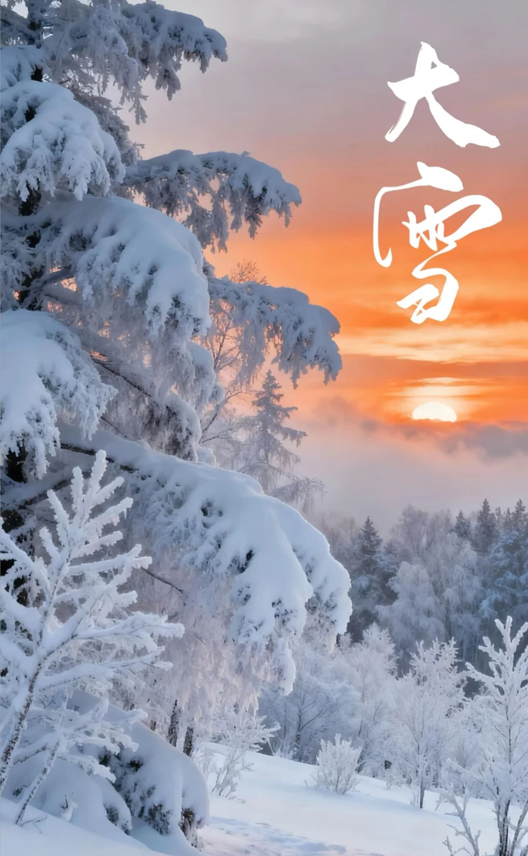 二十四节气｜大雪❄️