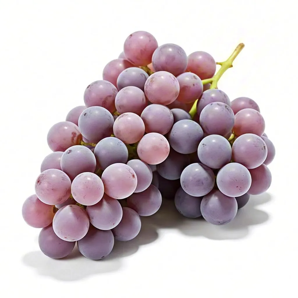 [幼小衔接]认知-水果篇，十一种常见水果