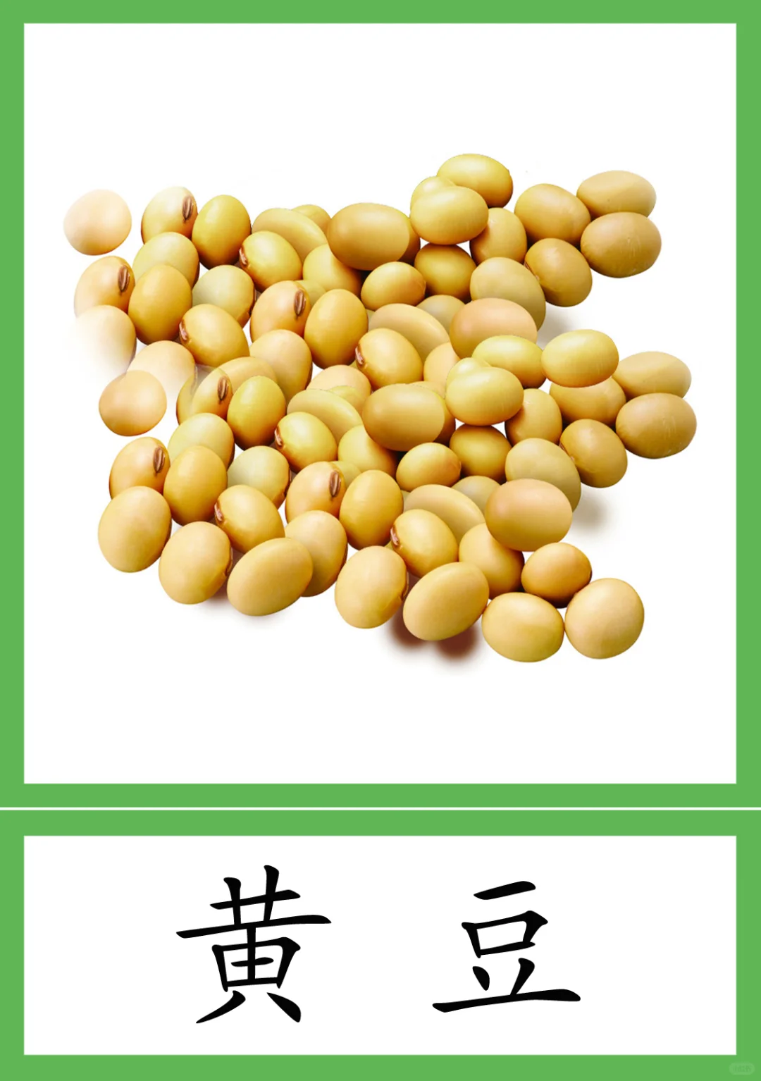 蒙氏植物素材28--粮食作物种类 三段卡