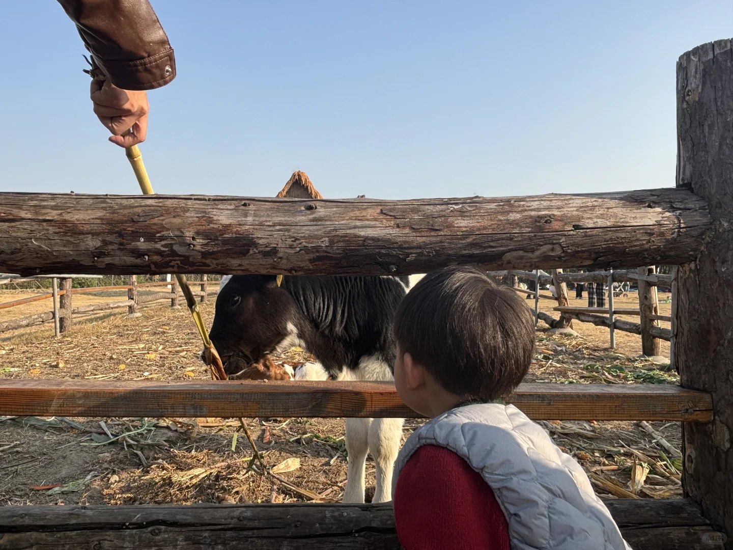 杭州周边遛娃地之—