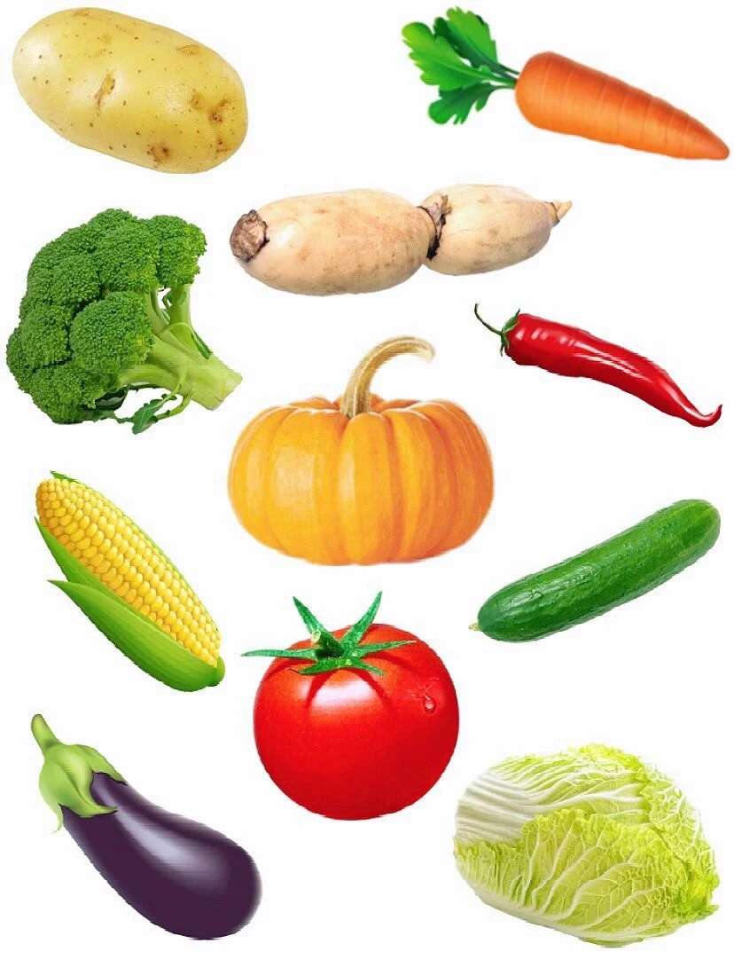 蒙氏艺术区—蔬菜水果高清图