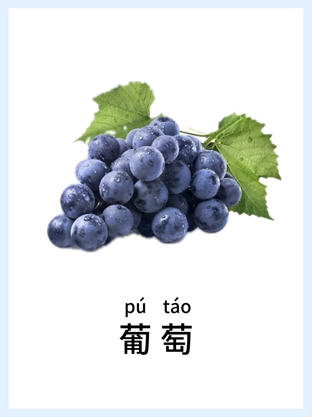 早教启蒙-水果篇，认知小课堂！