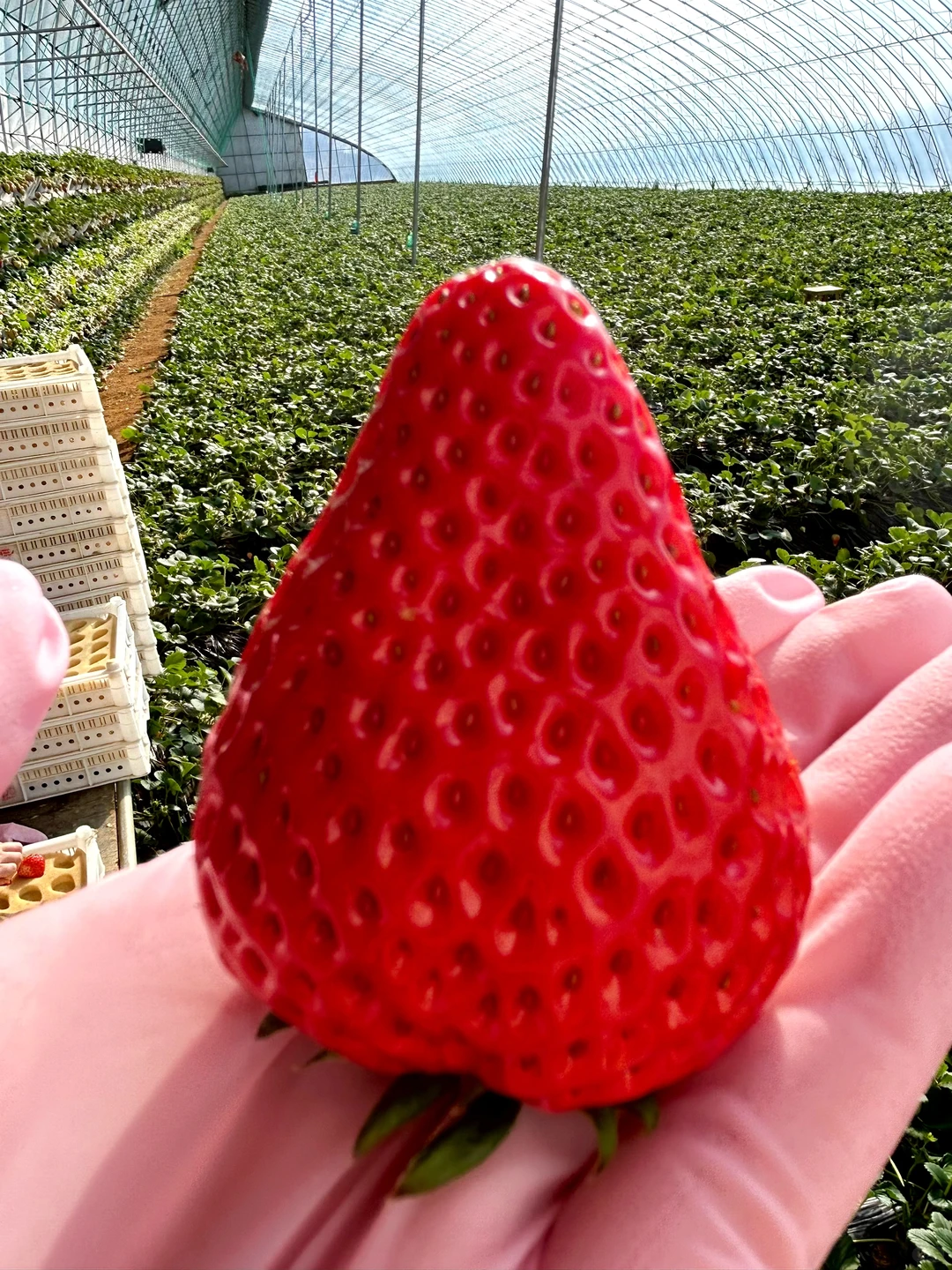 千万不要买/你再忍一忍/马上大降米