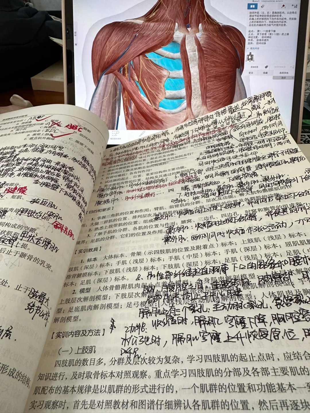 大一医学牲的周末?