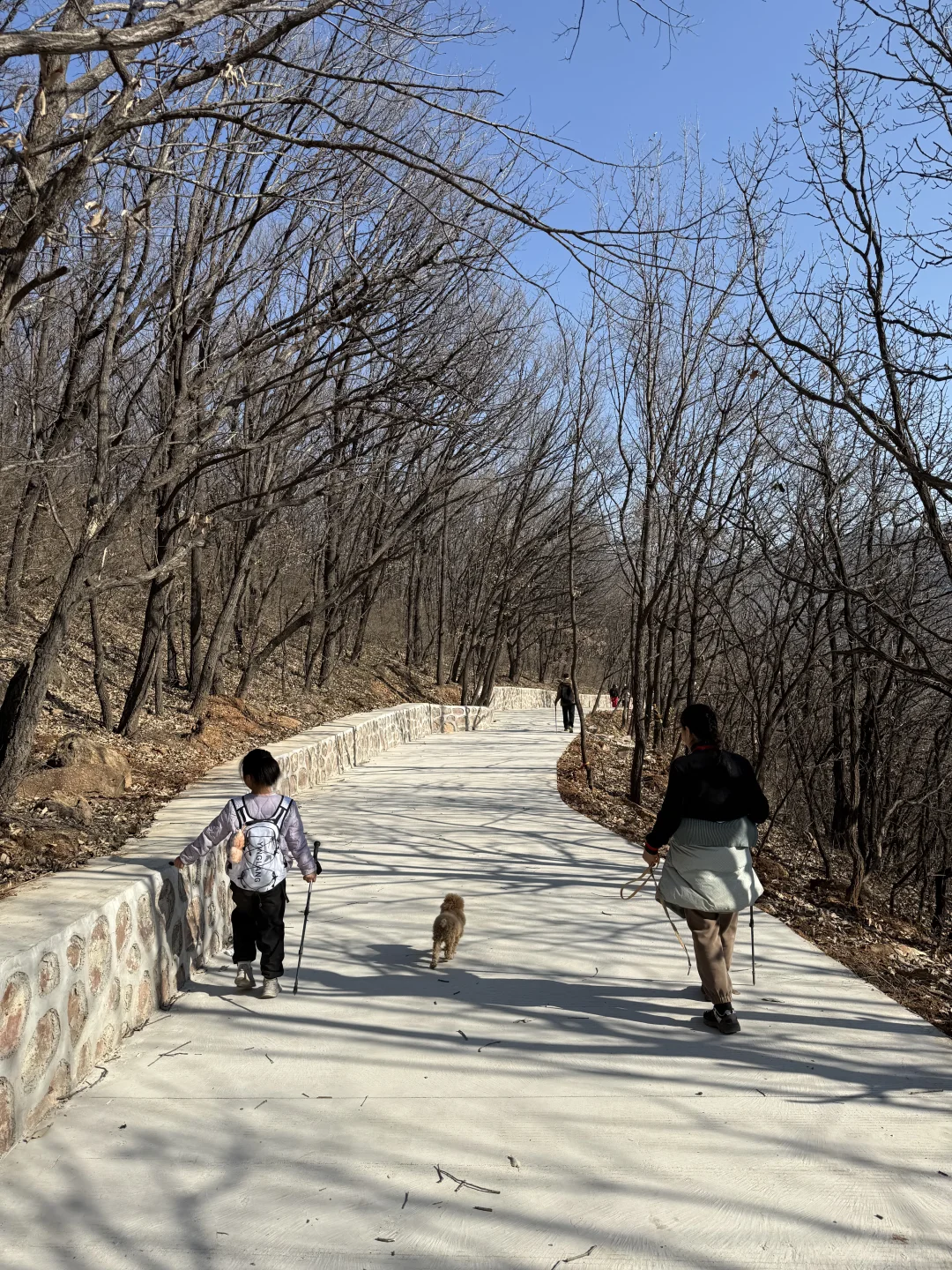 一周一山⛰️-第五十五山-达摩像.少林寺