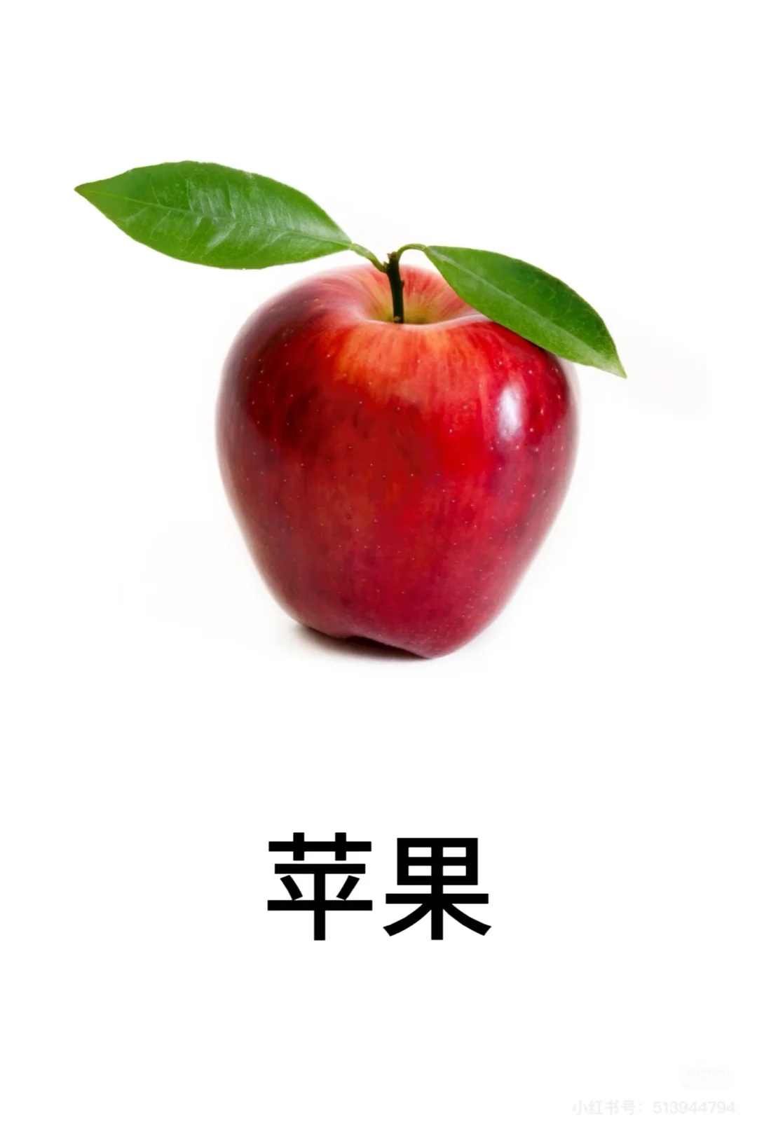 认识水果