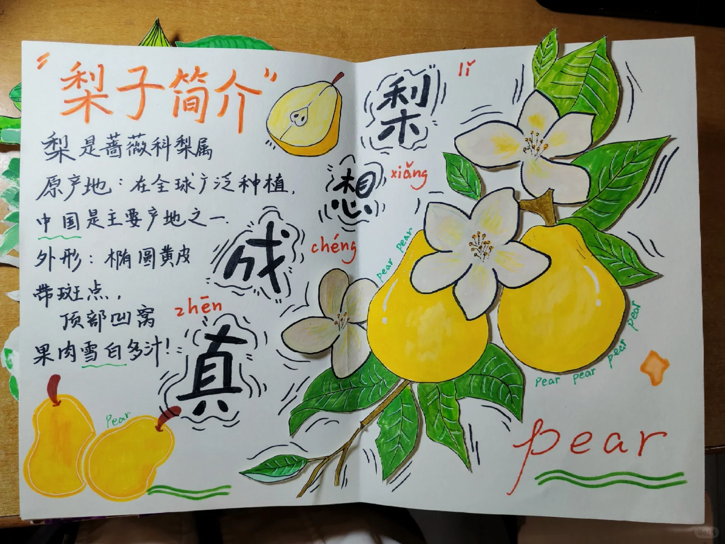 原创绘本《水果王国》学前教育美术期末作品