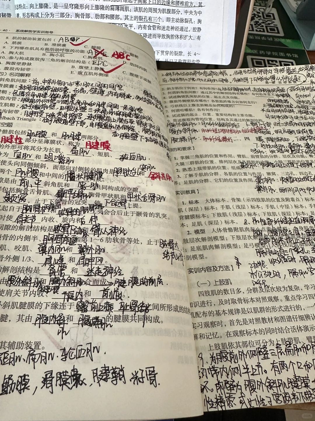 大一医学牲的周末?