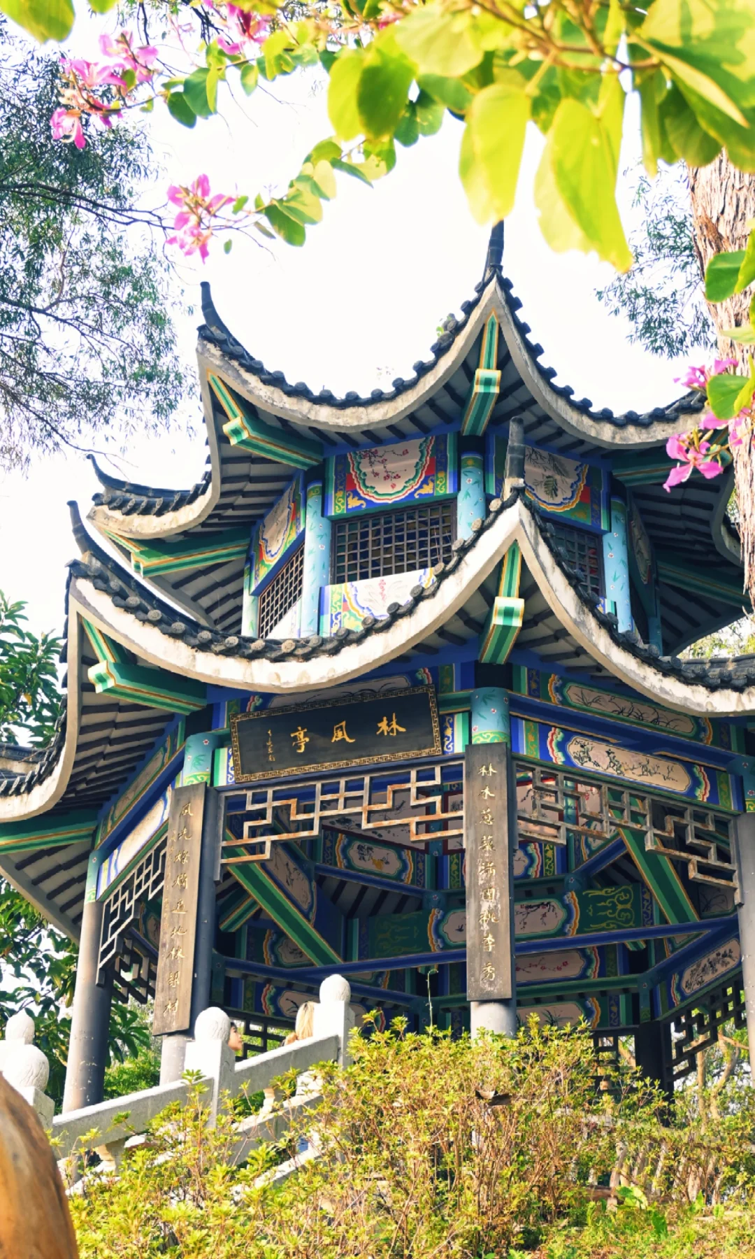 一小组华南农业大学的照片