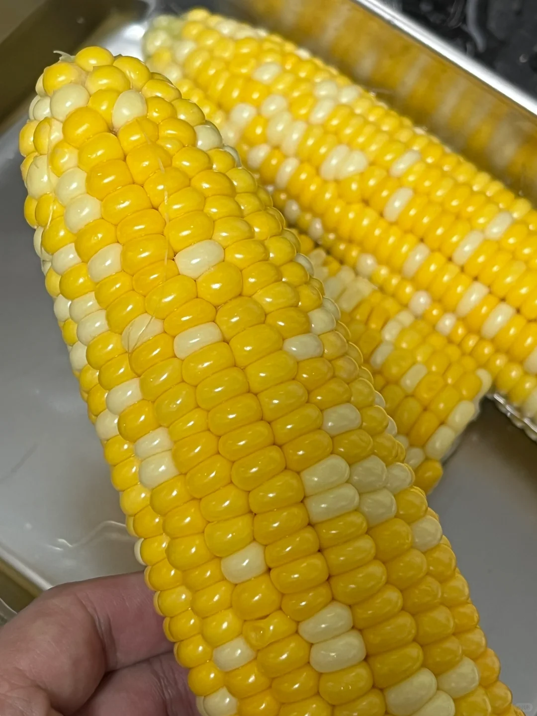 玉米今年滞销了??爸妈让我来卖…便宜出了