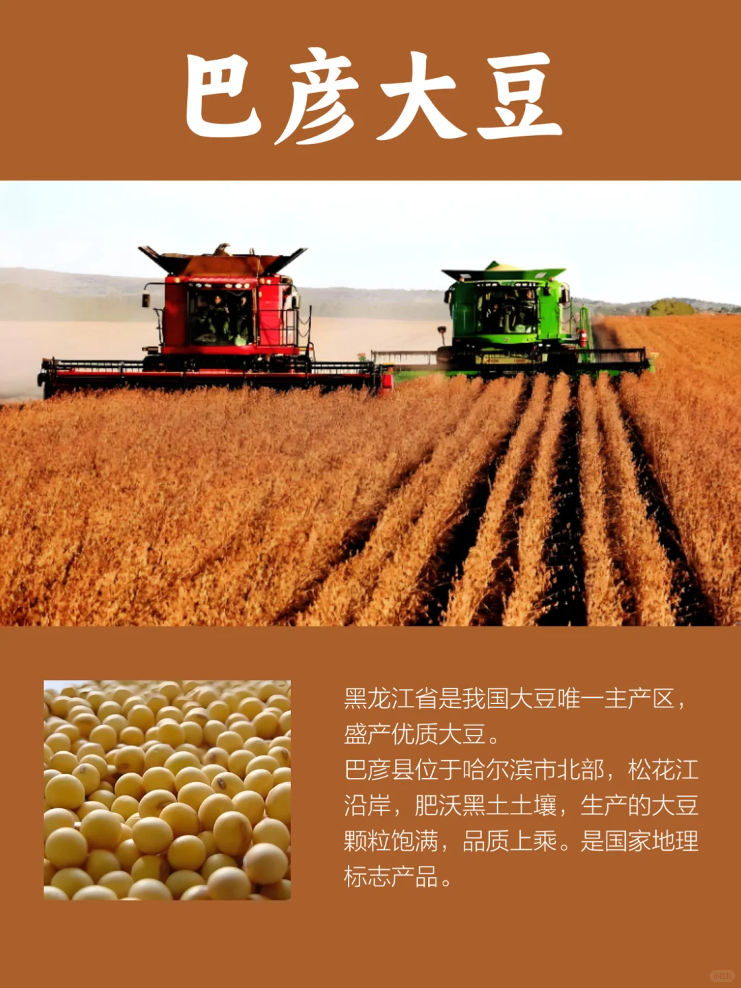 黑龙江特产，哈尔滨市的3大名特优农产品