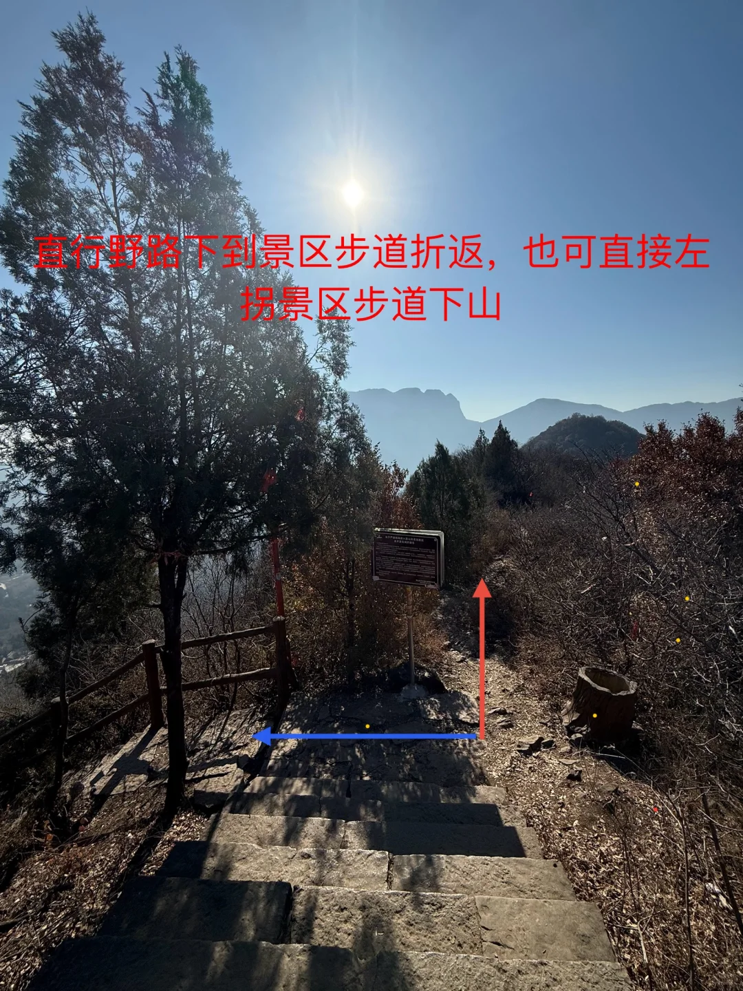 一周一山⛰️-第五十五山-达摩像.少林寺