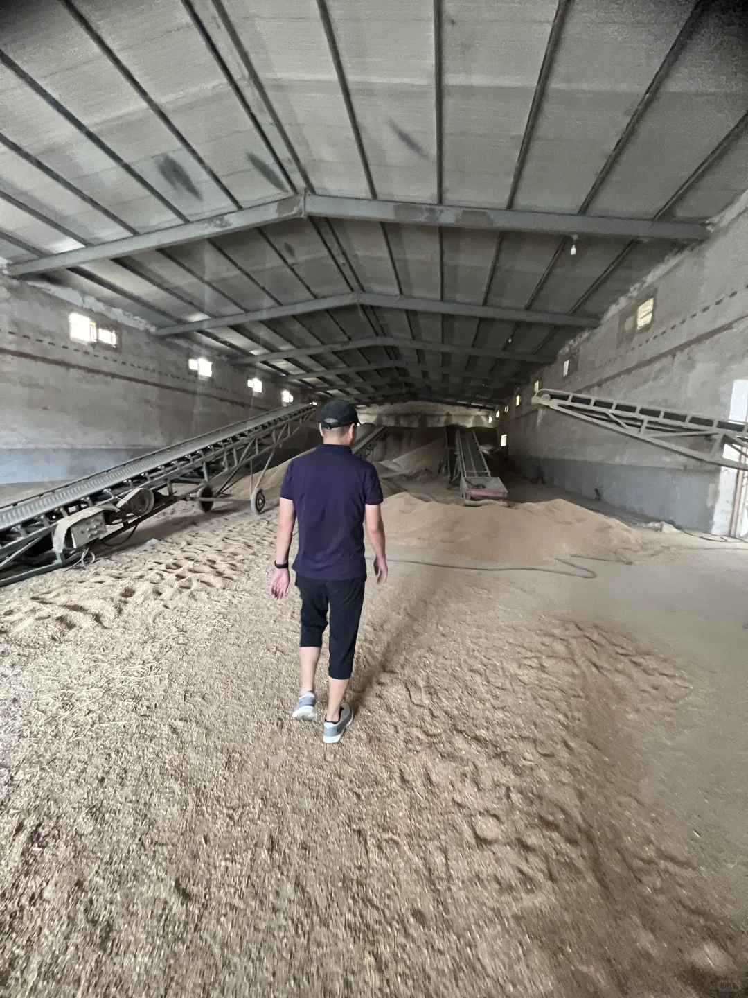 收获的季节，大国粮仓。收粮！