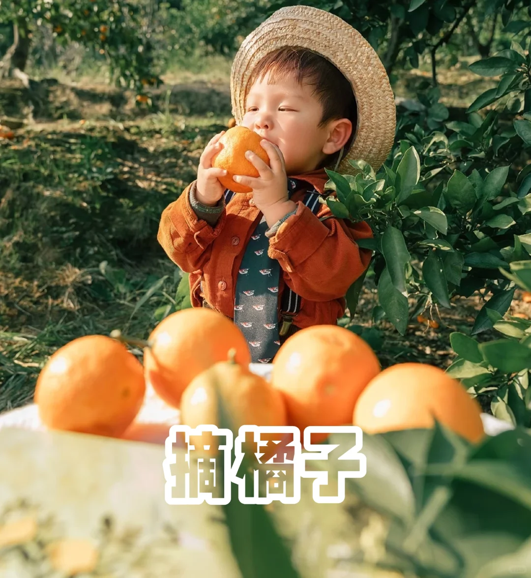 11月份适合杭州亲子活动合集|家长们请查阅