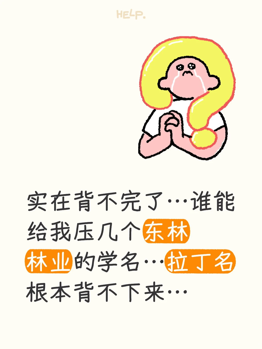 我需要一个帮助。