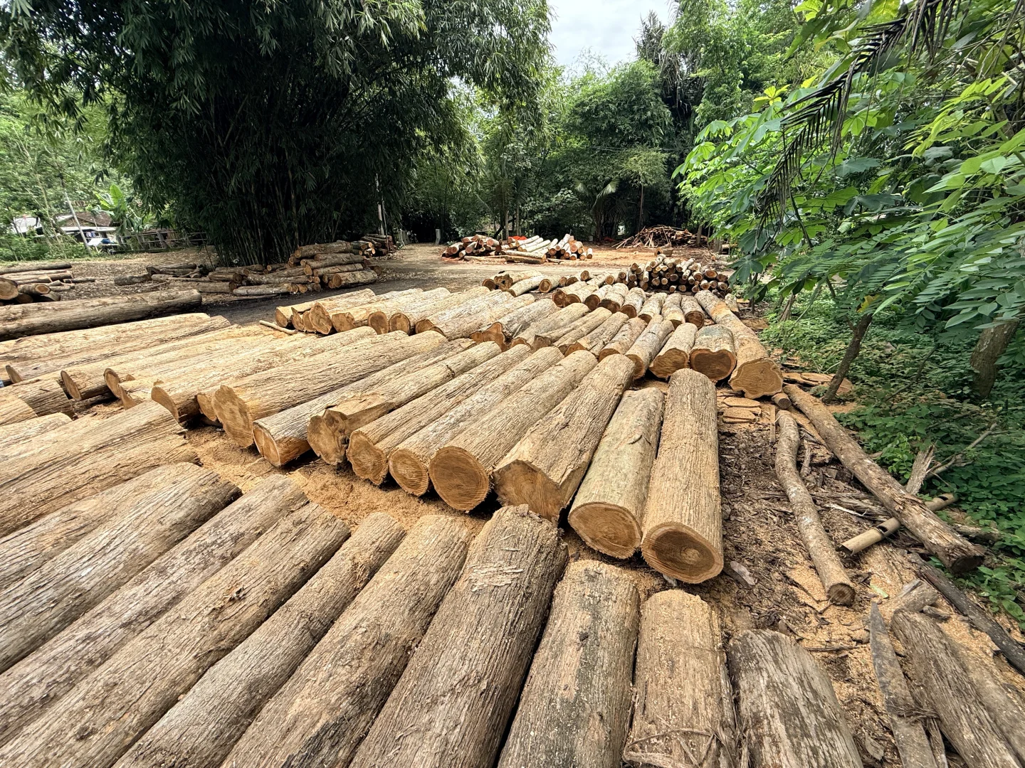 ? 我在印尼有家柚木工厂，想找国内的你！