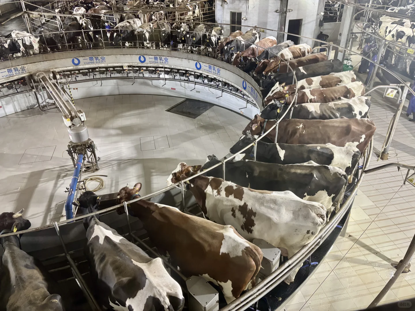 杭州周边遛娃地之—