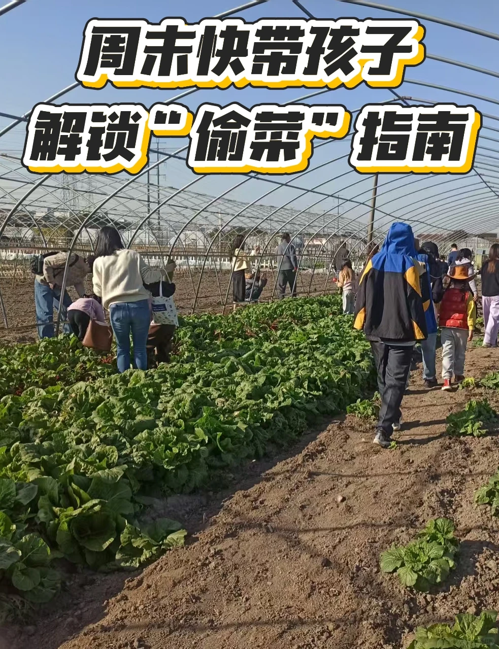 周末别躺了 带娃去地里当“小偷”！?