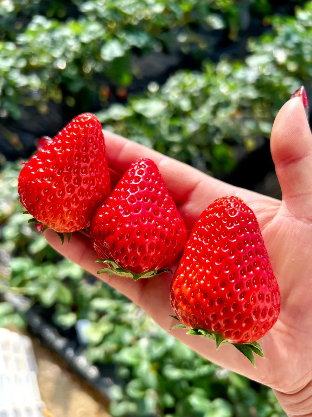 千万不要买/你再忍一忍/马上大降米