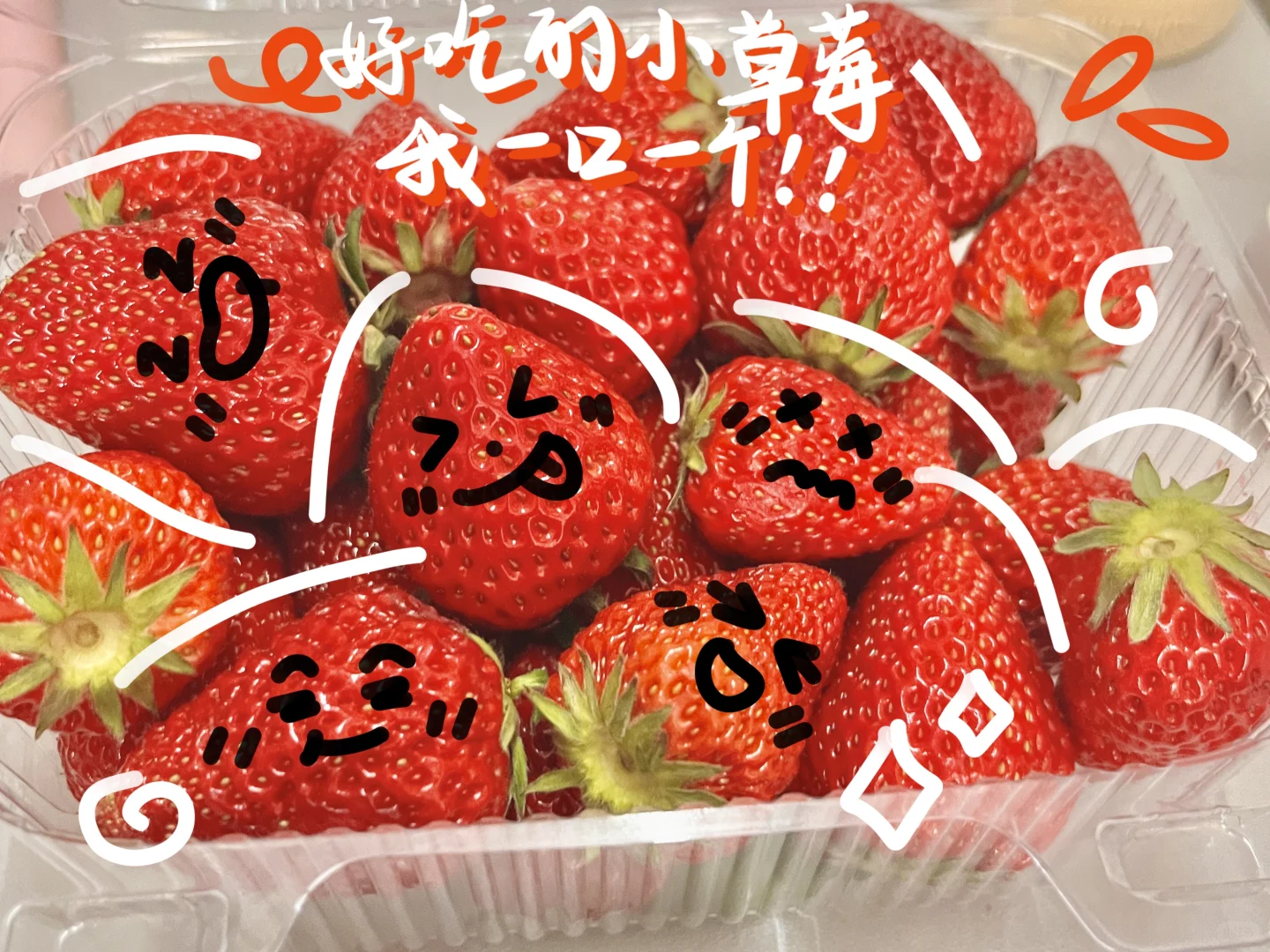 土のplog｜?夏天的水果是来报恩的吧?