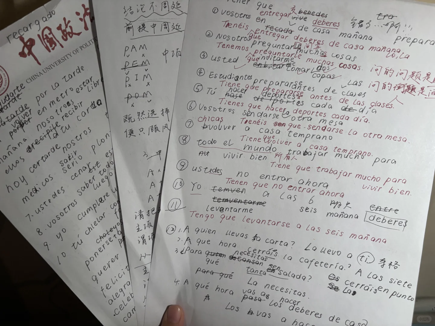 法大Plog｜大背特背?期末月中