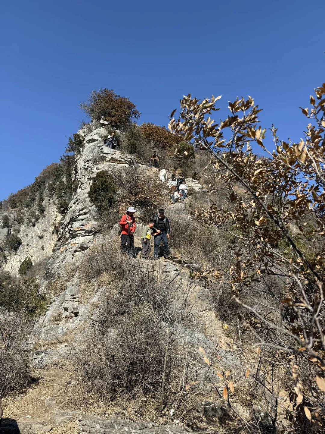 一周一山⛰️-第五十五山-达摩像.少林寺