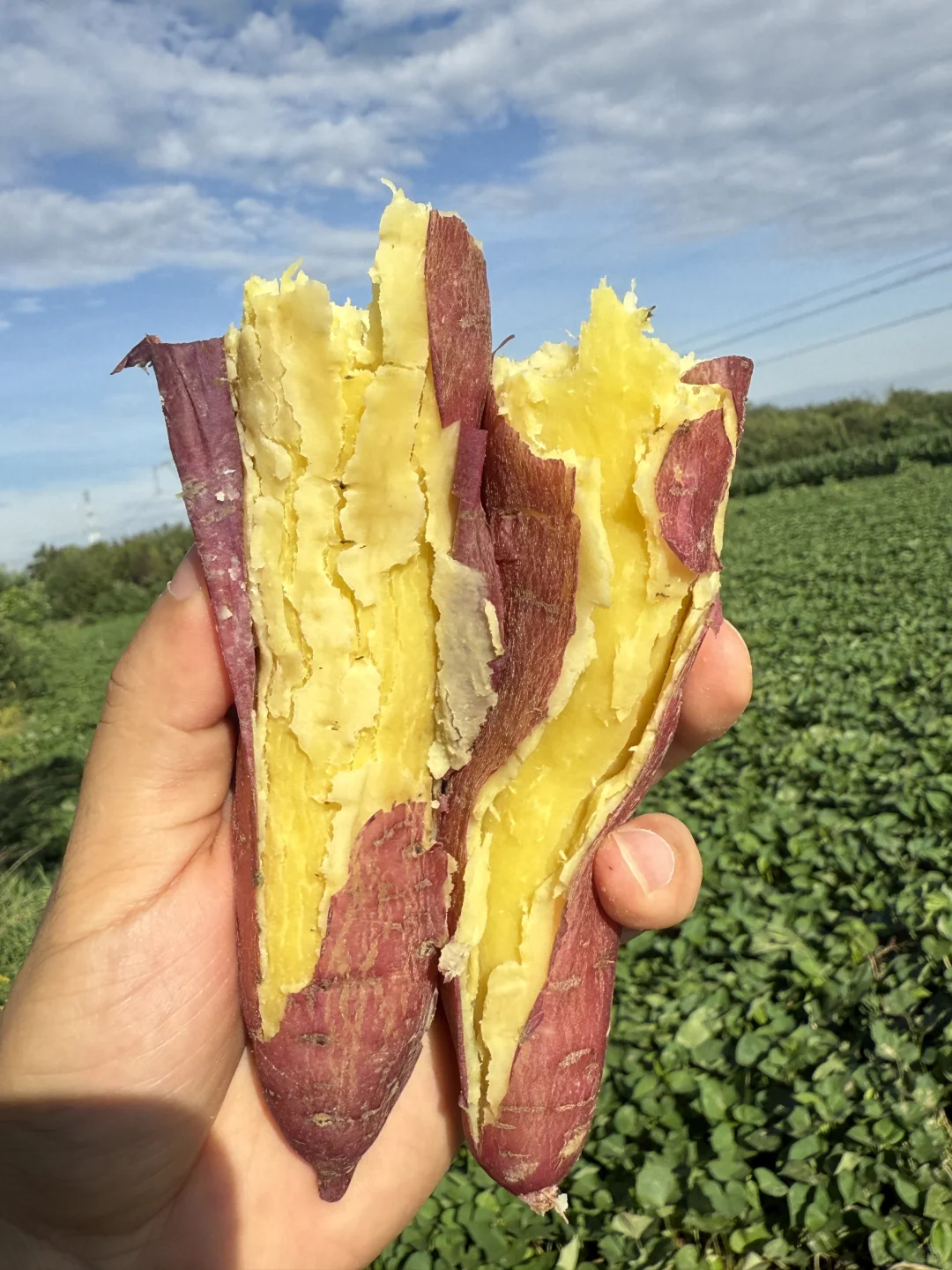 这才是中国宝宝该吃的神仙粗粮！?