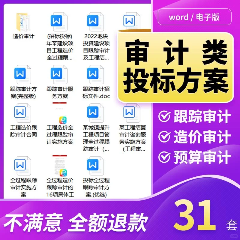 审计投标方案全流程服务秘籍?