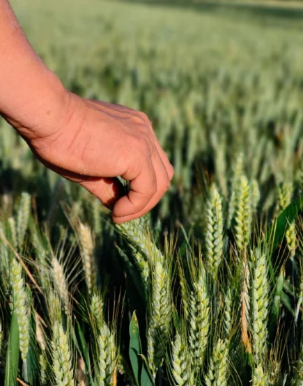 江西农业门户：不只是种地那么简单