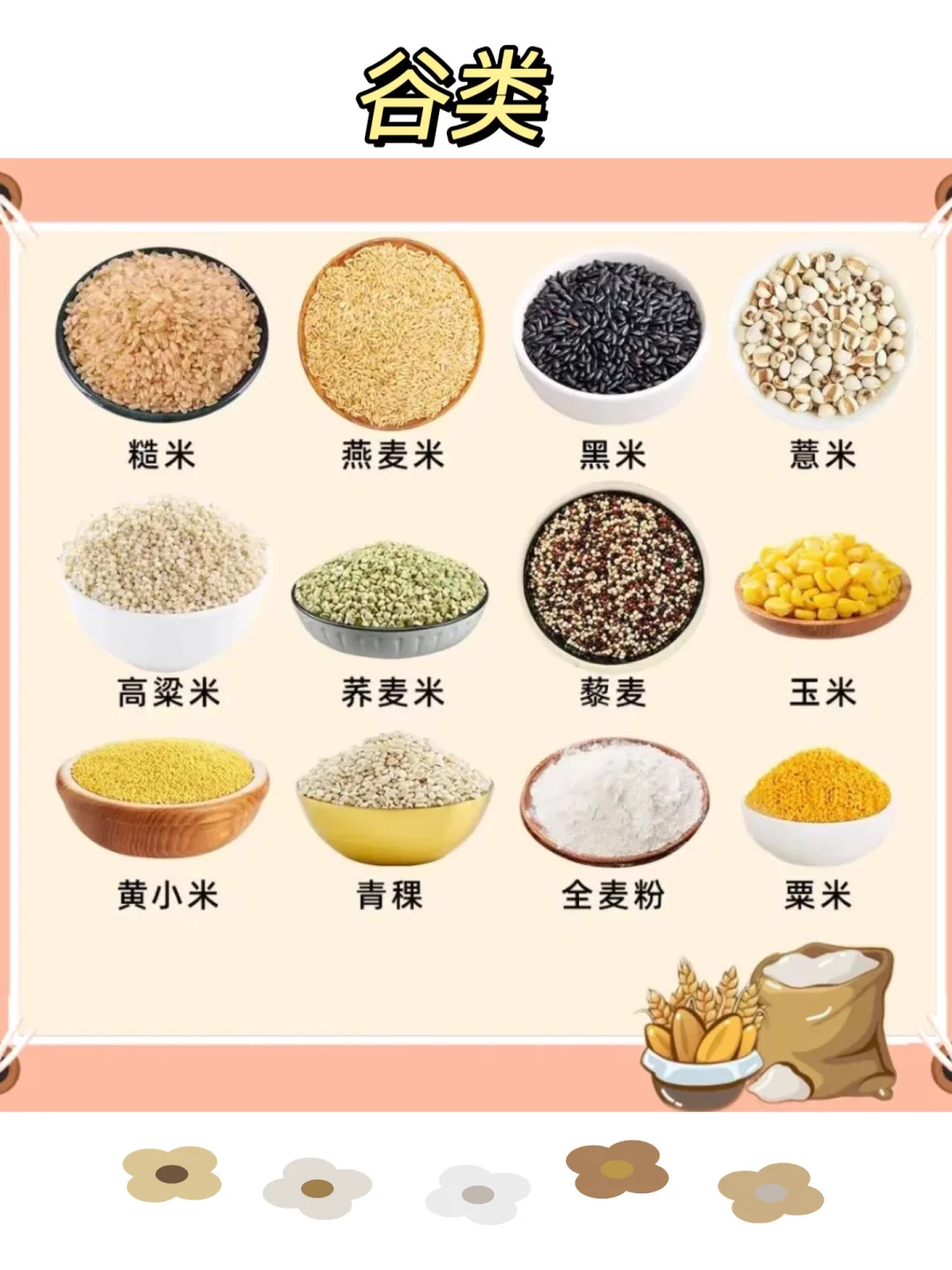 常见的五谷杂粮有哪些?