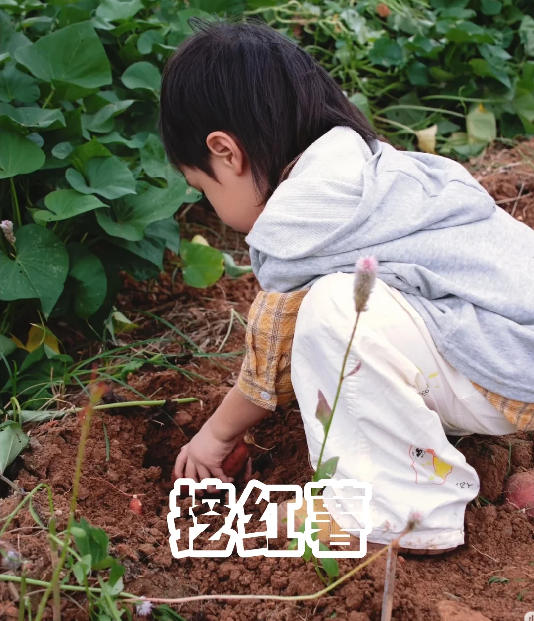 11月份适合杭州亲子活动合集|家长们请查阅