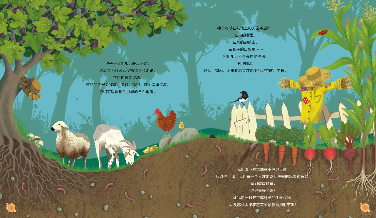 《会播种的帽子》蔬菜水果大集合