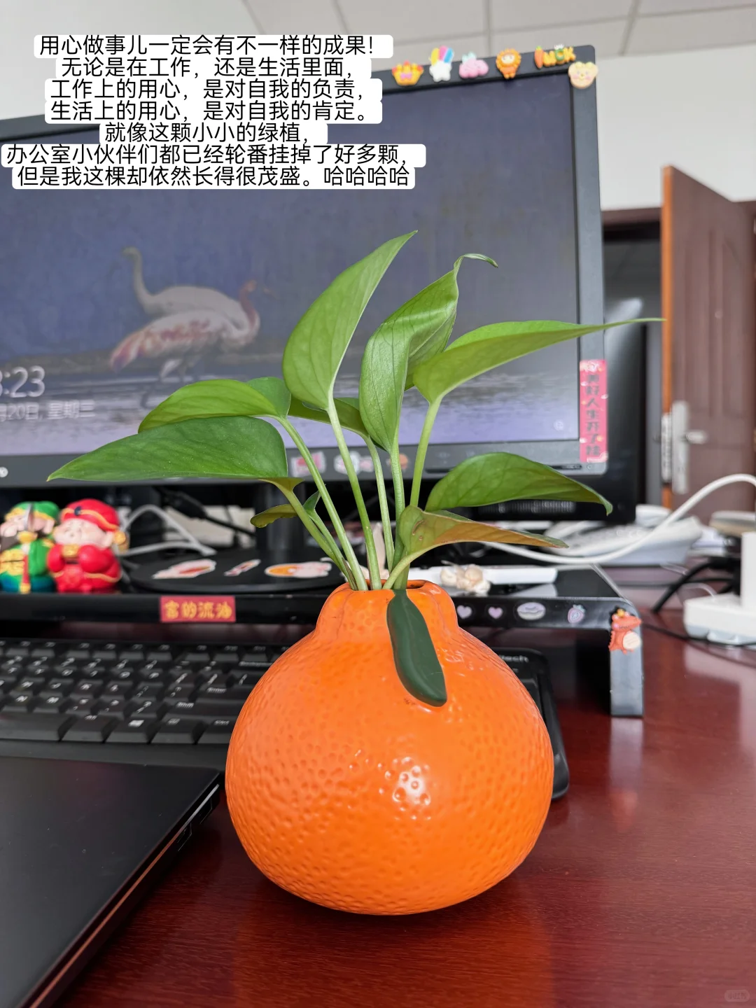 体制内财务｜机关事业单位如何规范自行采购