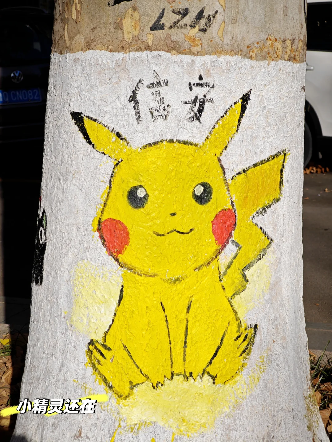 山大数院之爱上洪楼图书馆