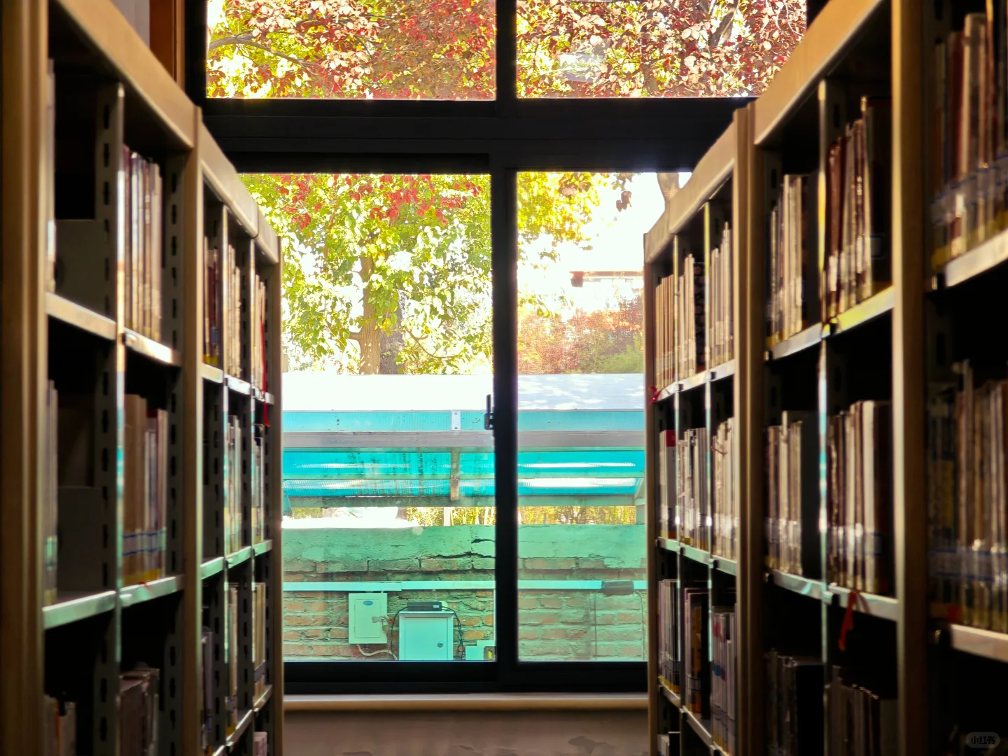 山大数院之爱上洪楼图书馆