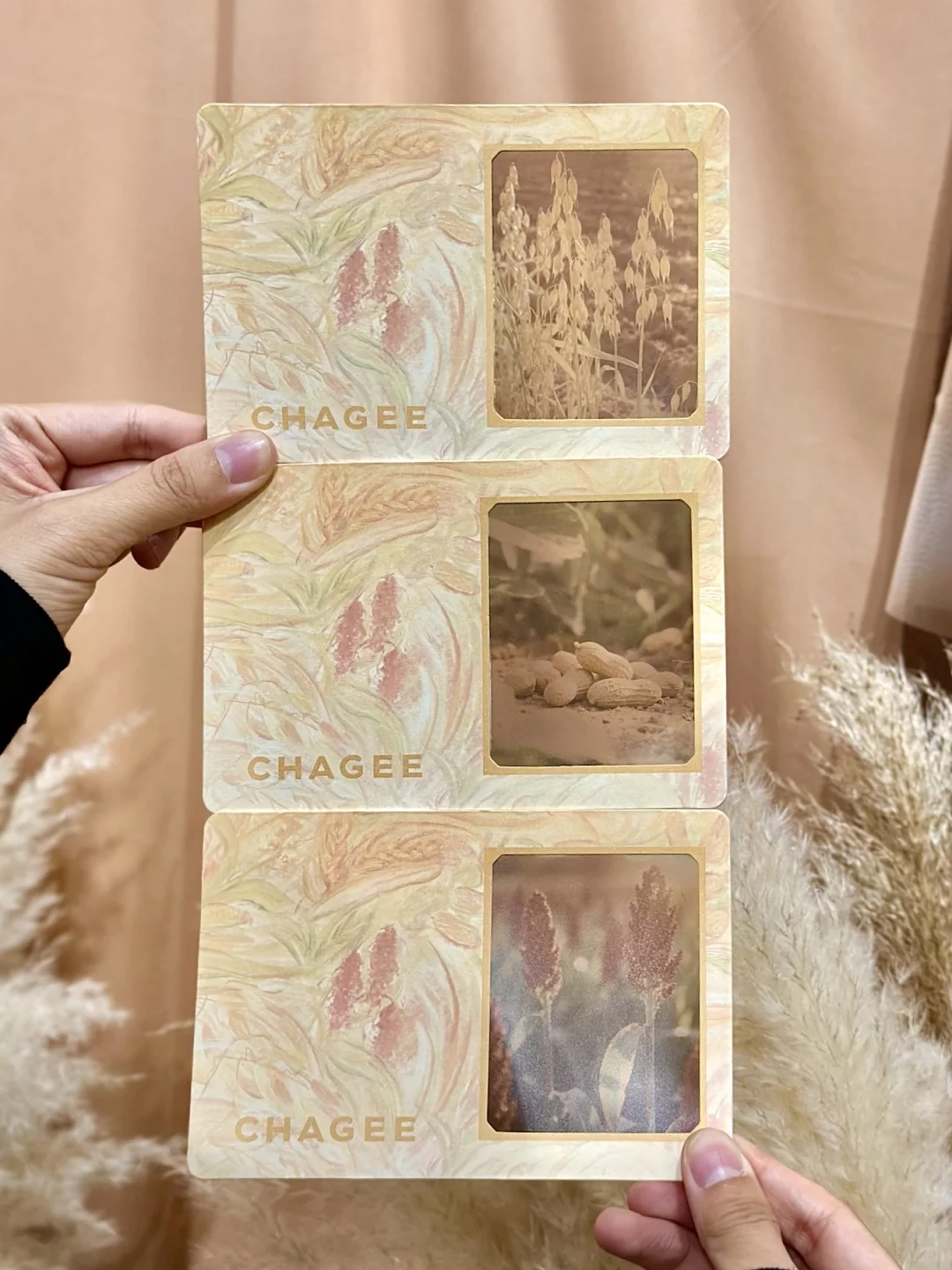 看看茶姬的粮食日周边?缩小版农作物超可爱