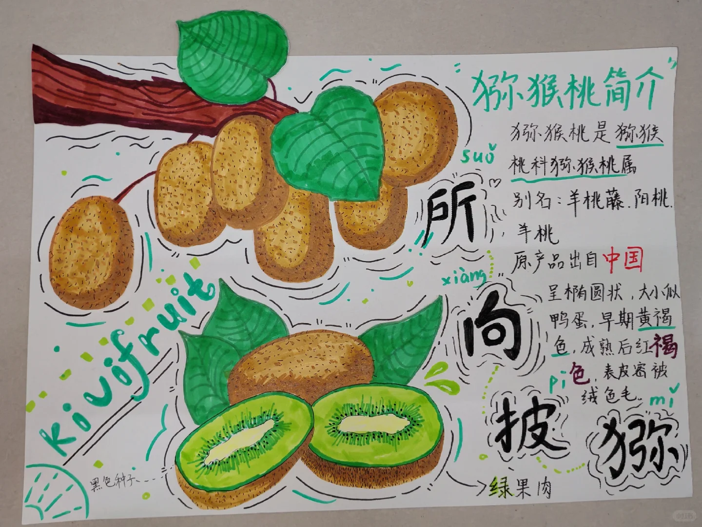 原创绘本《水果王国》学前教育美术期末作品