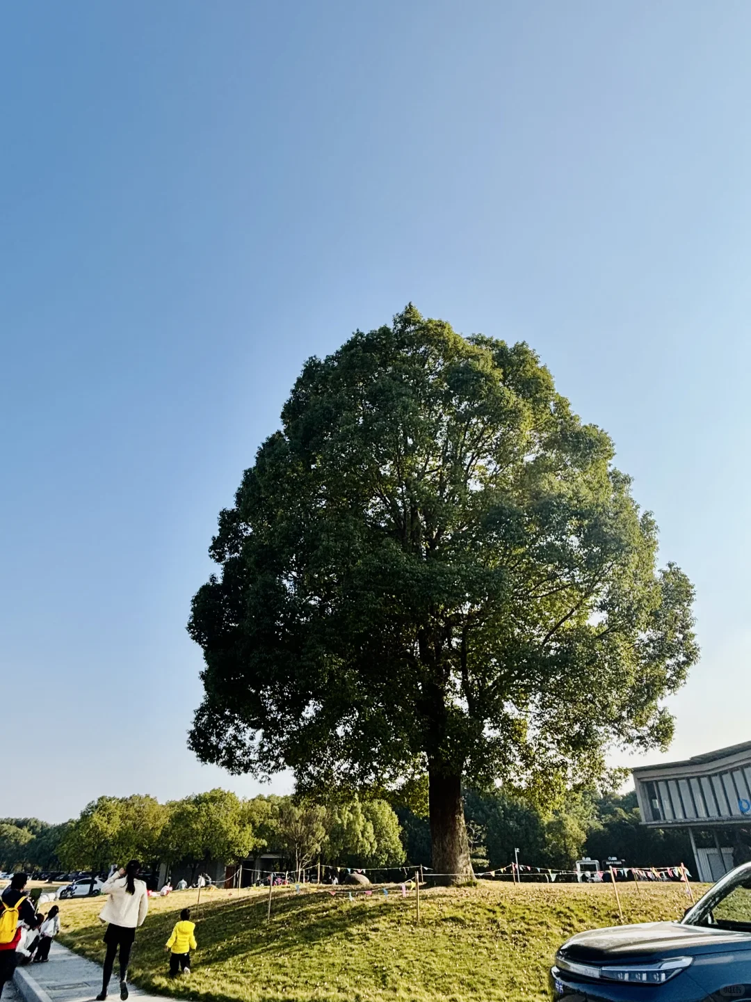 杭州周边遛娃地之—