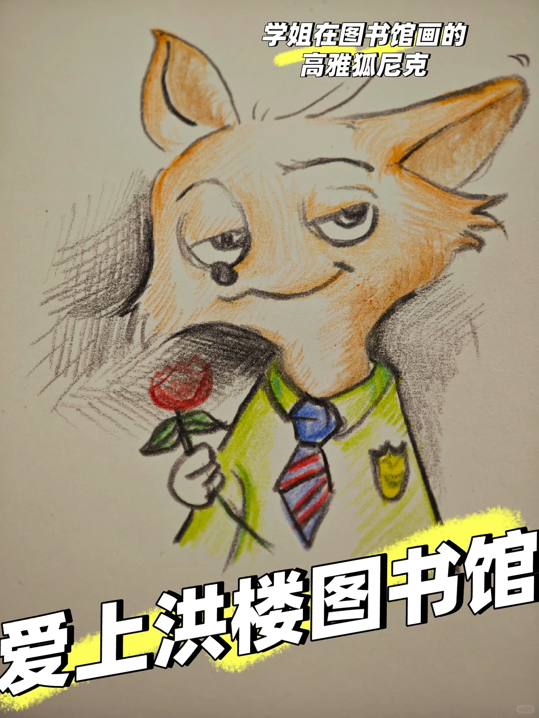 山大数院之爱上洪楼图书馆