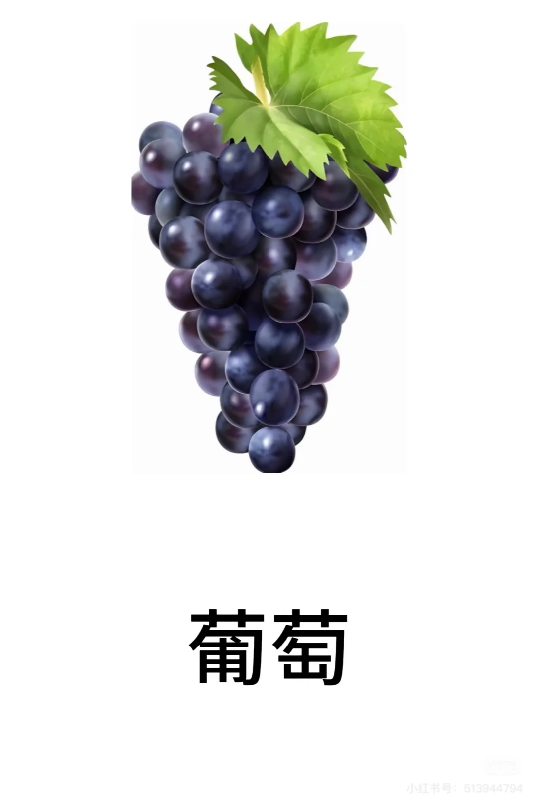 认识水果