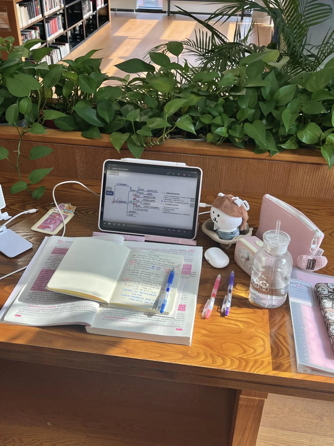 周末你好，我已经在清华图书馆学习一上午了