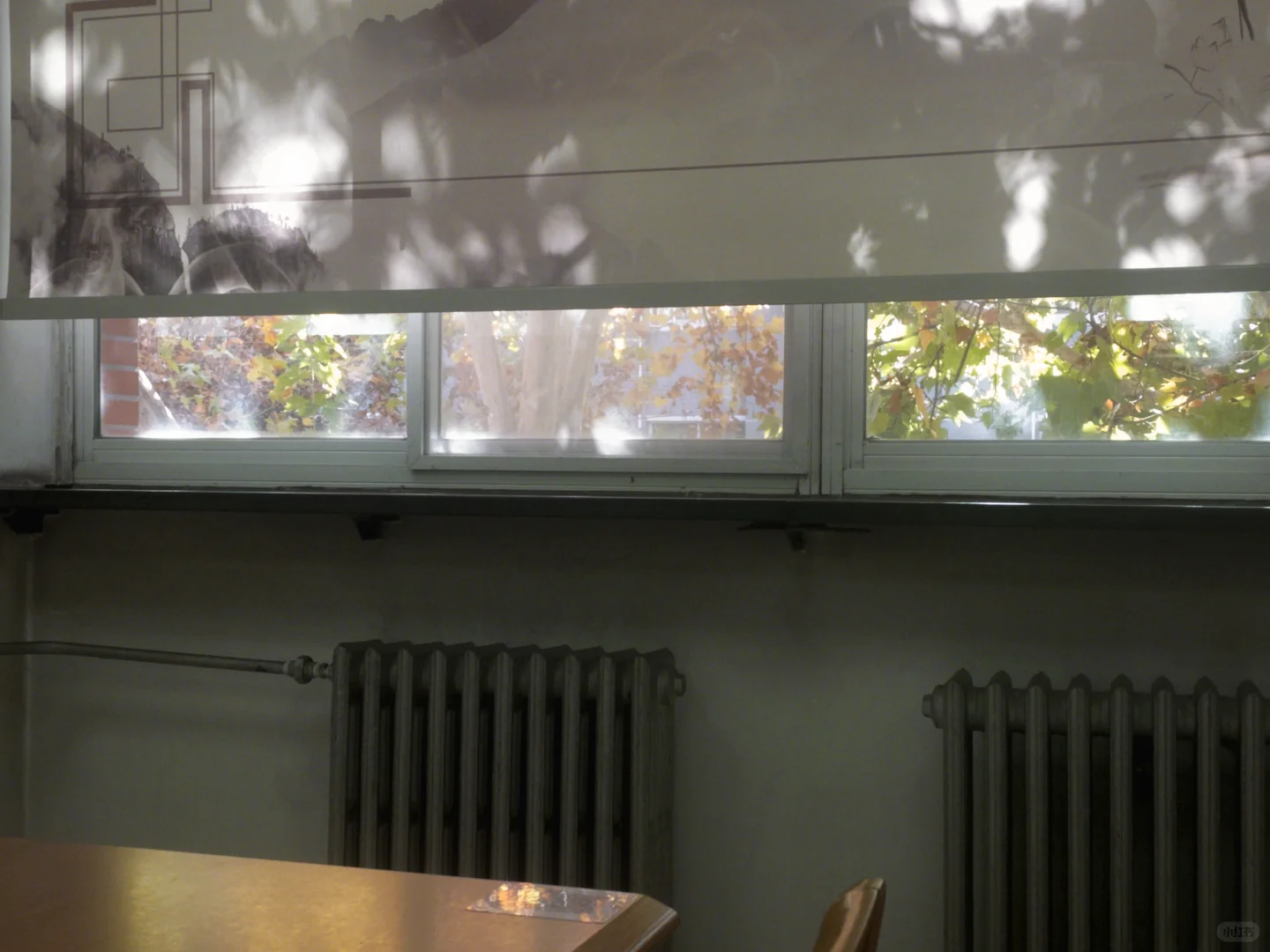 大四那年秋天（二）