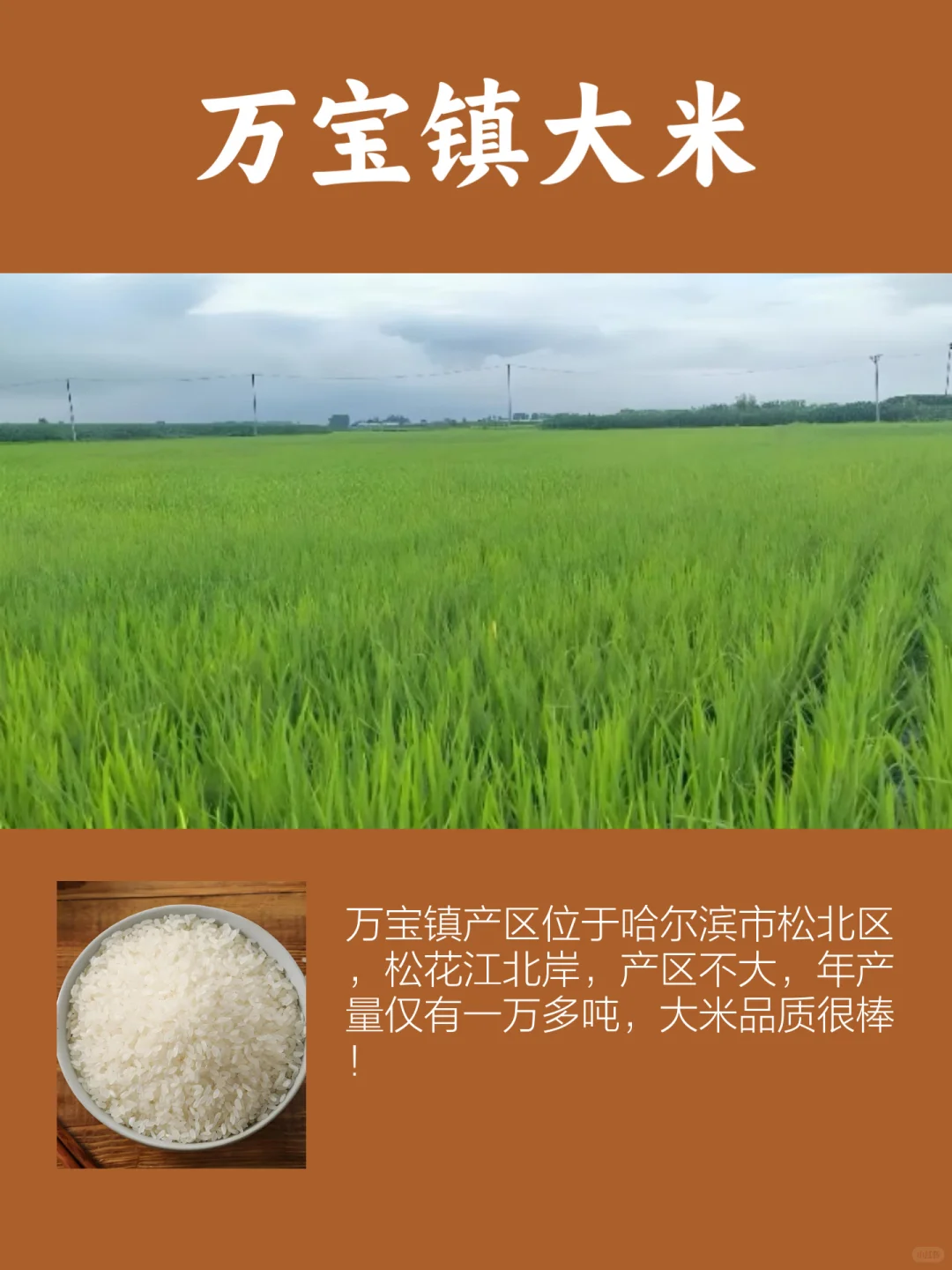 黑龙江特产，哈尔滨市的3大名特优农产品