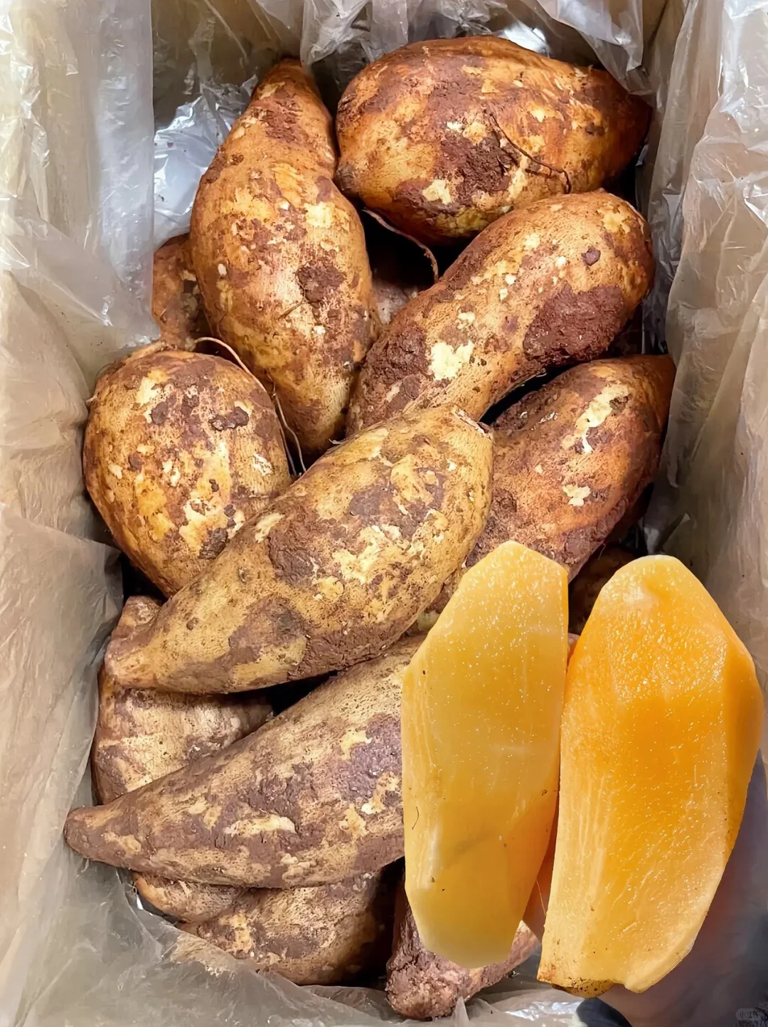 稀奇古怪它不是红薯它是长在土里的水果