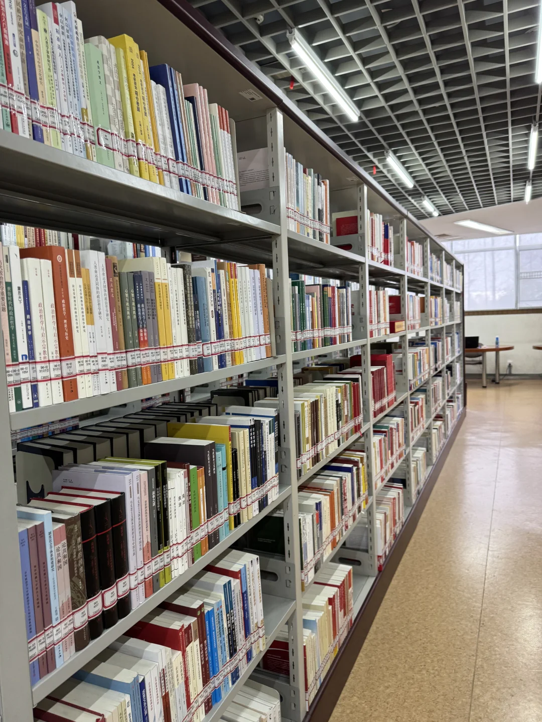 主打一个来都来了