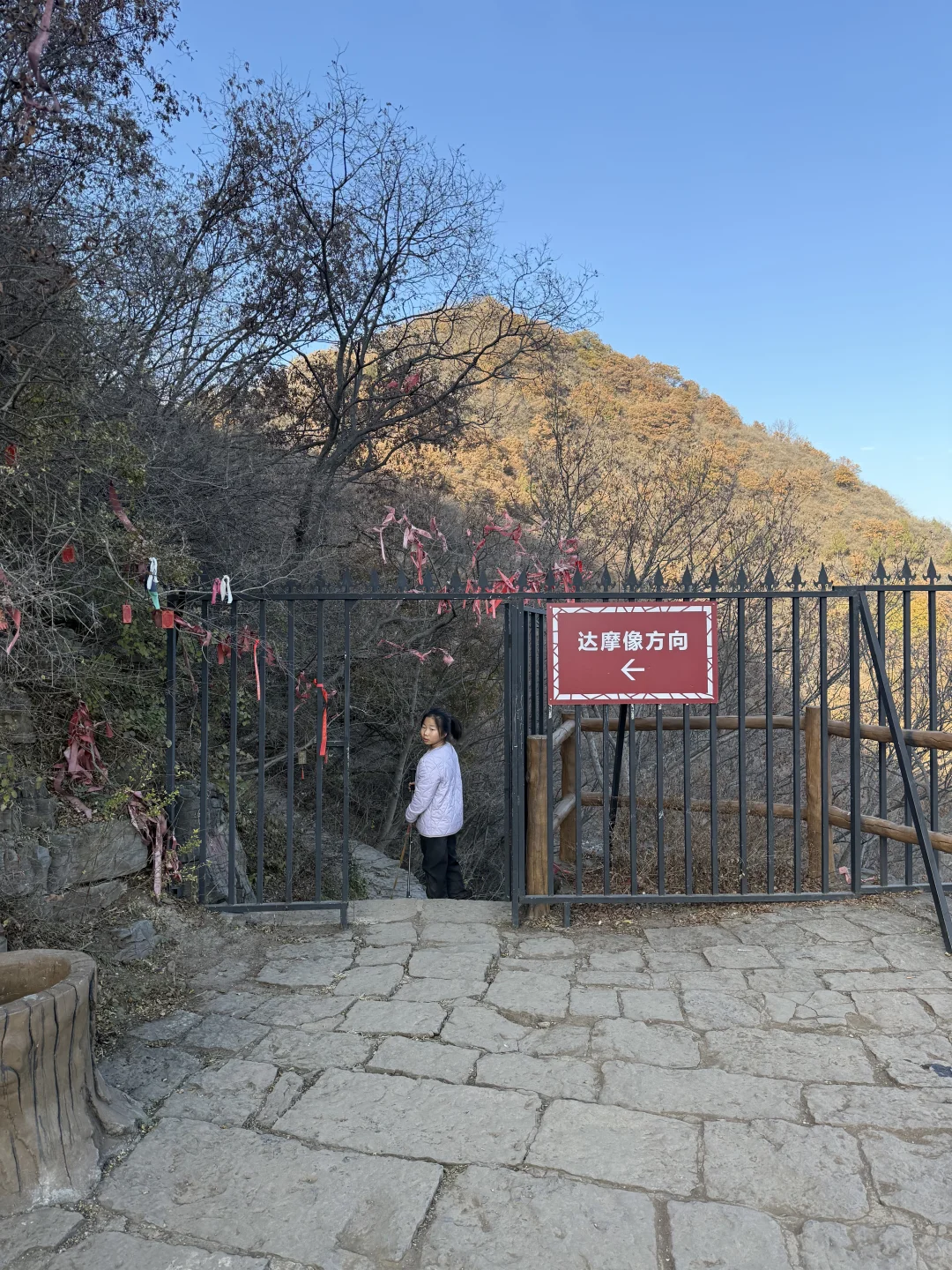 一周一山⛰️-第五十五山-达摩像.少林寺