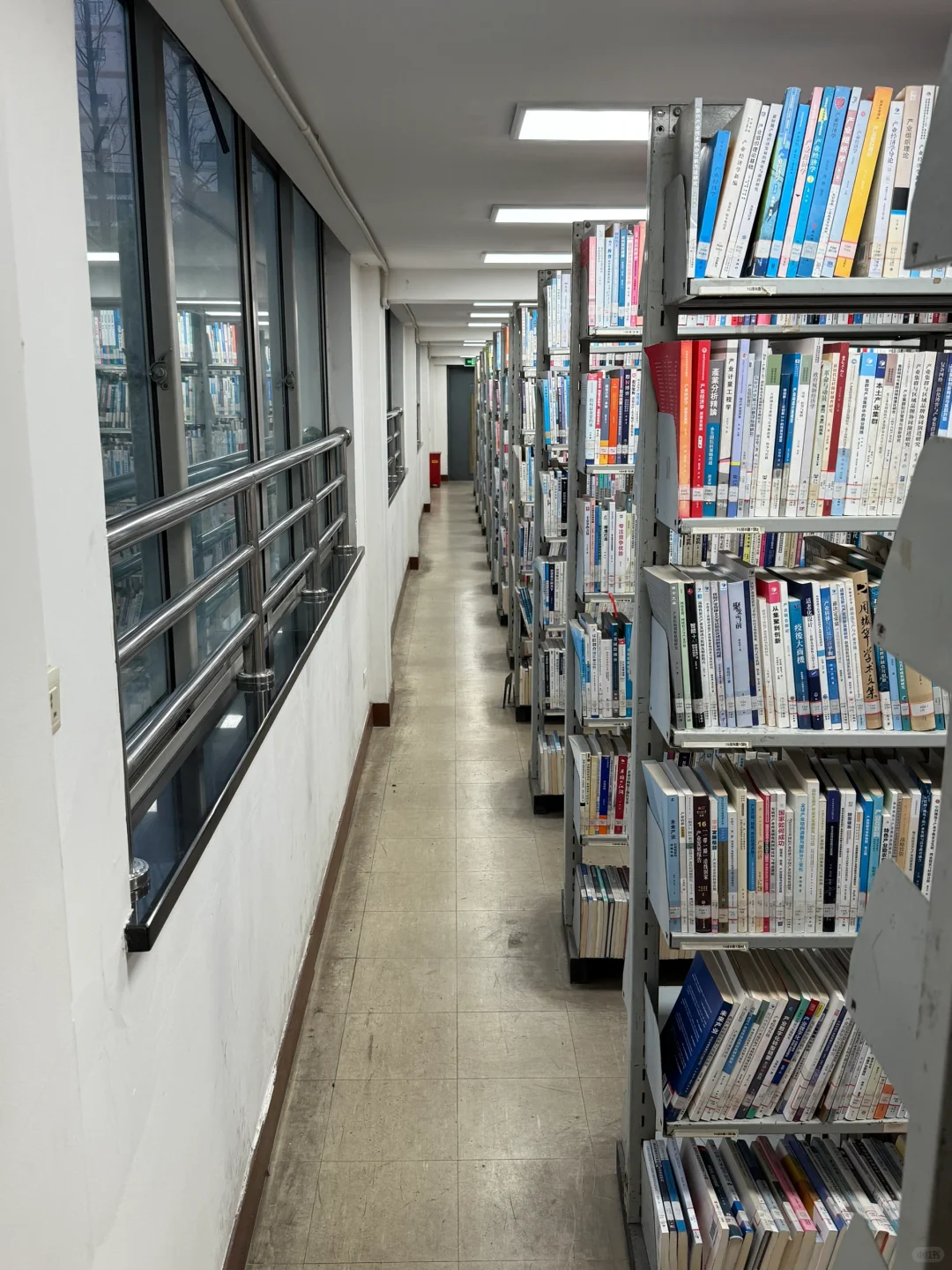 临近暑假的复旦大学文科图书馆