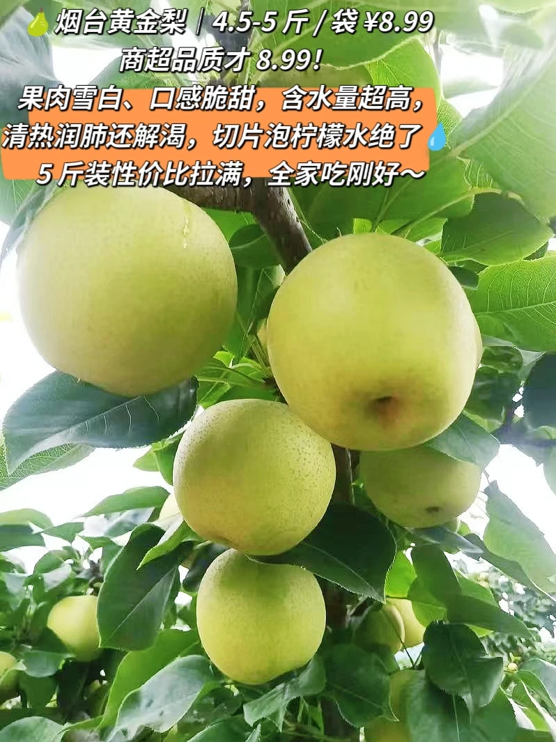 3.99 起水果自由！多多买菜 10 款鲜果清单