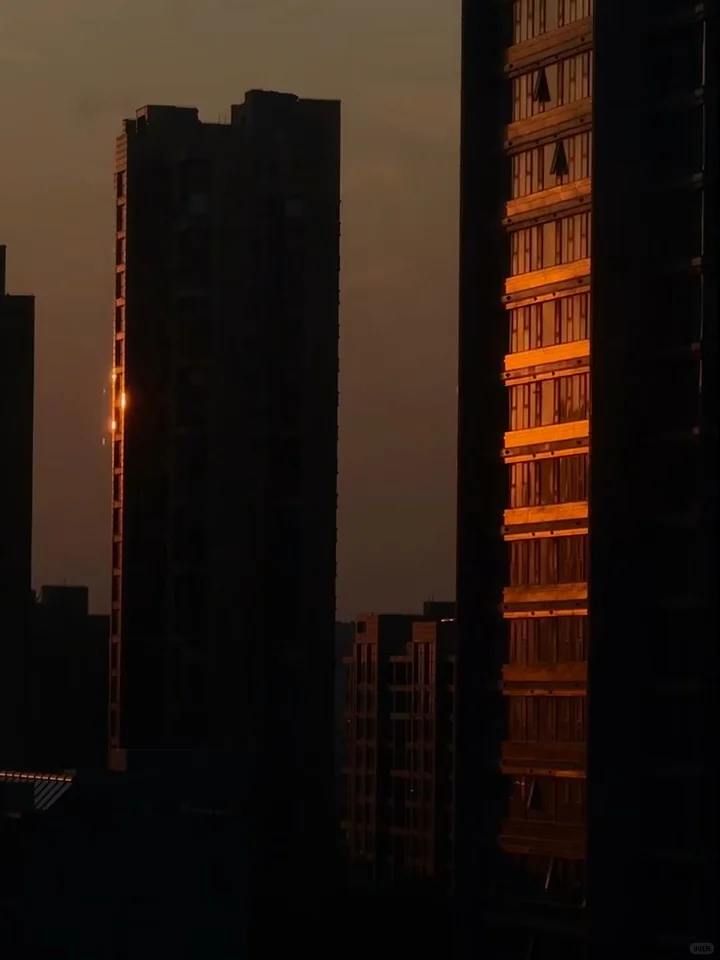 不想营业，但还是随便写写，你们随便看看